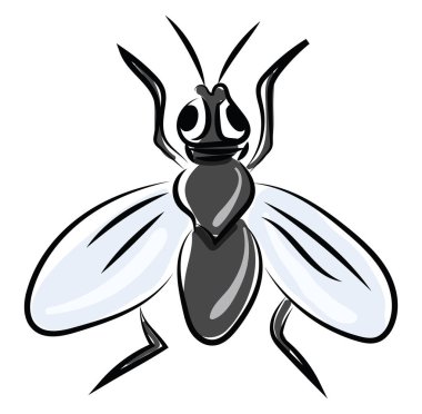 Düz sinek, illüstrasyon, beyaz arka plan üzerinde vektör.