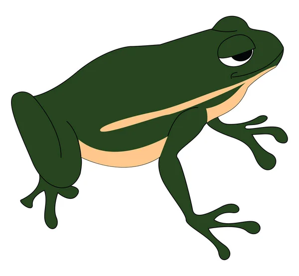 Зеленая лягушка, иллюстрация, вектор на белом фоне. — стоковый вектор