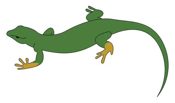 绿色蜥蜴，图例，白色背景上的矢量. — 图库矢量图片
