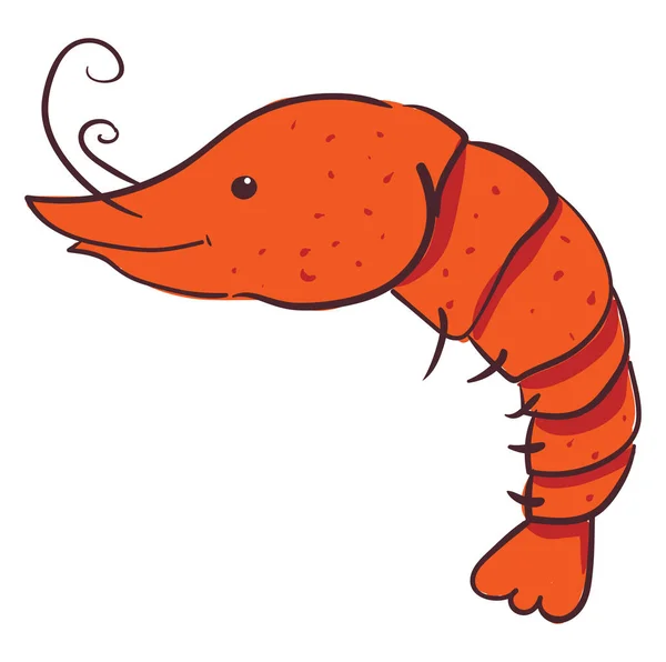 Happy red shrimp, illustration, vector on white background. — Stock Vector