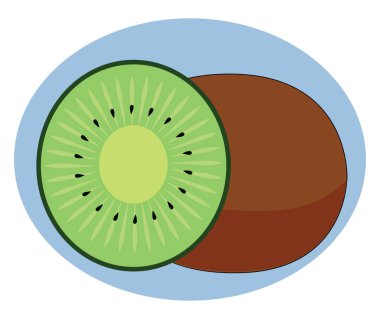 Taze kivi, illüstrasyon, beyaz arka plan vektör.