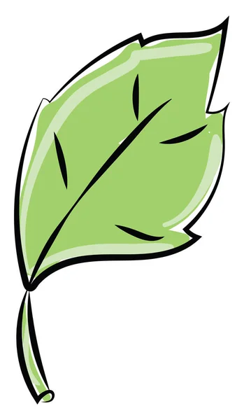 Échelle verte, illustration, vecteur sur fond blanc . — Image vectorielle