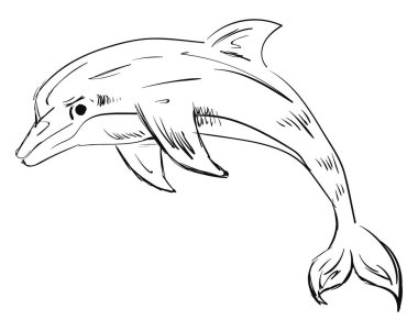 Yunus çizimi, illüstrasyon, beyaz arka plan üzerinde vektör.