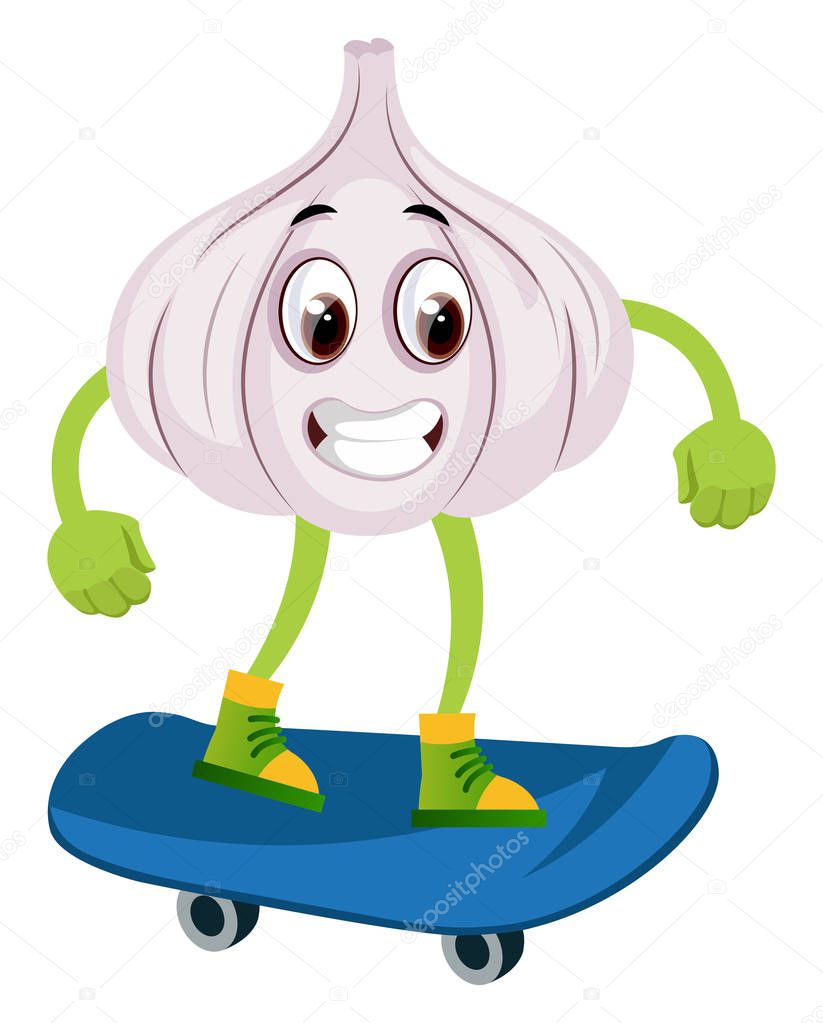 Garlic on skateboard, illustration, vector on white background.