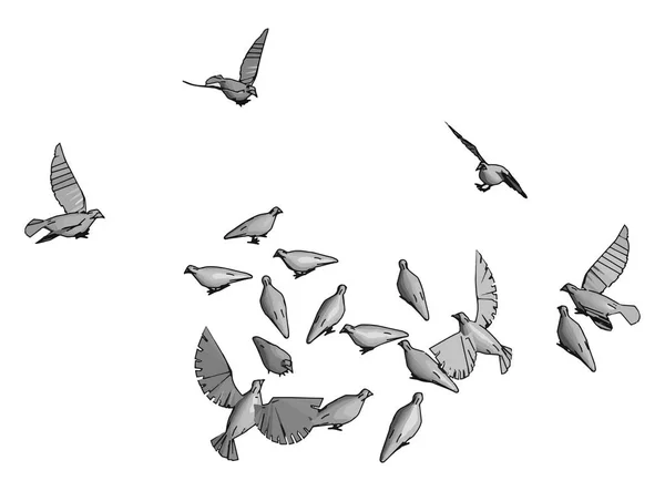 Oiseaux dans le ciel, illustration, vecteur sur fond blanc . — Image vectorielle