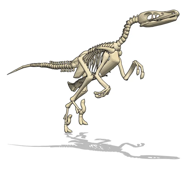Dinoskelett, Illustration, Vektor auf weißem Hintergrund. — Stockvektor