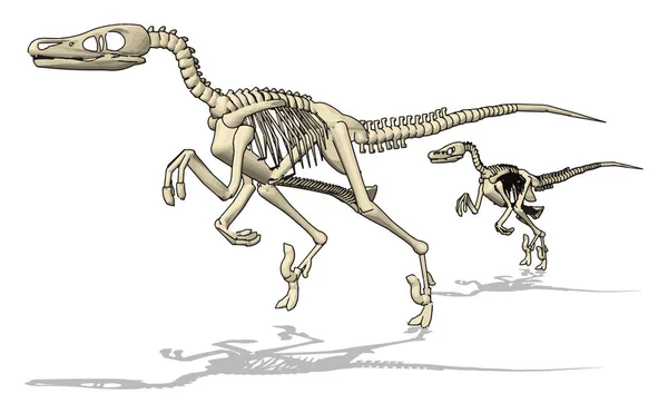 Dino skelet, illustrazione, vettore su sfondo bianco . — Vettoriale Stock