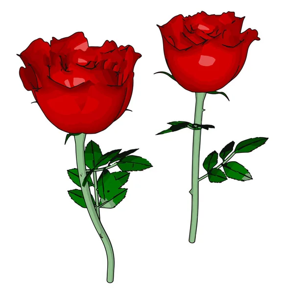 Red rose, illustration, vector on white background. — Stock Vector