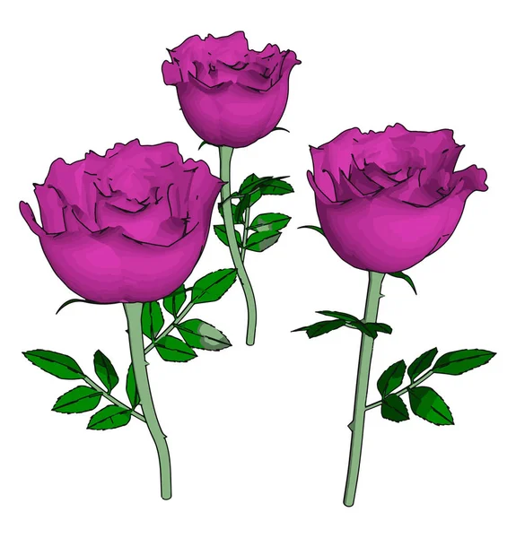 Rosa rosa, ilustración, vector sobre fondo blanco. — Vector de stock