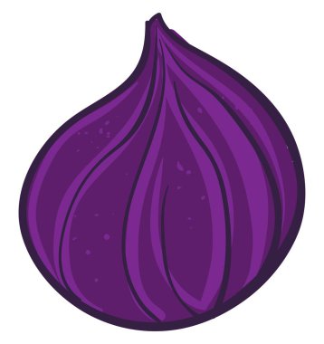 Mor incir, illüstrasyon, beyaz arkaplanda vektör.