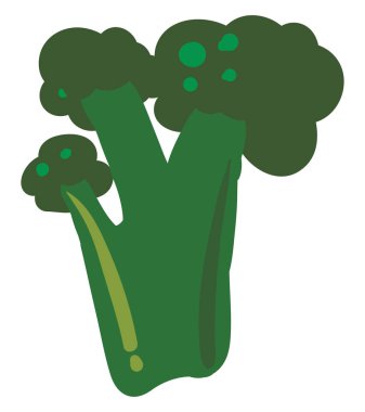 Yeşil brokoli, illüstrasyon, beyaz arkaplanda vektör.