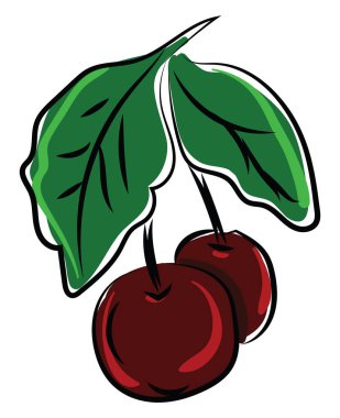 Kiraz çizim, illüstrasyon, beyaz arka plan üzerinde vektör.