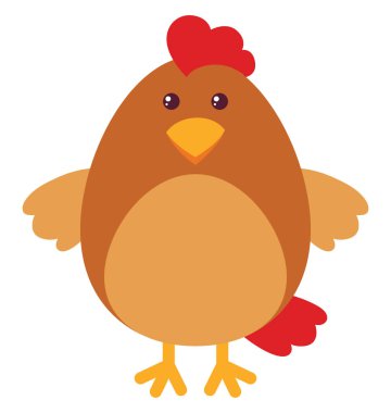 Sevimli tavuk, illüstrasyon, beyaz arka plan vektör.