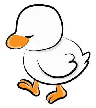 Beyaz ördek, illüstrasyon, beyaz arkaplan vektörü.