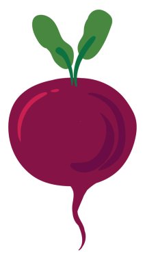 Pancar, illüstrasyon, beyaz arka plan üzerinde vektör.