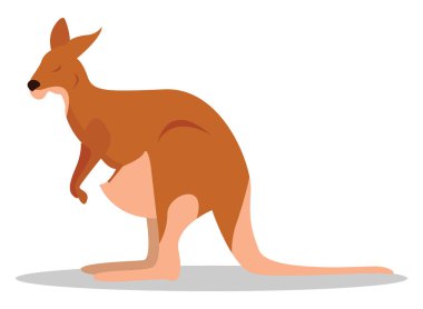 Kanguru, illüstrasyon, beyaz arka plan üzerinde vektör.