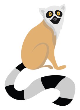 Lemur, illüstrasyon, beyaz arka plan üzerinde vektör.