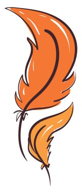 Turuncu tüy, illüstrasyon, beyaz arkaplanda vektör.