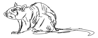 Fare çizimi, illüstrasyon, beyaz arka plan üzerinde vektör.