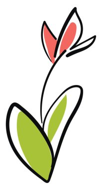 Çiçek çizim, illüstrasyon, beyaz arka plan vektör.