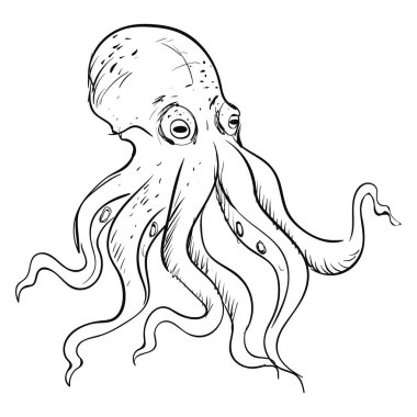 Ahtapot çizim, illüstrasyon, beyaz arka plan vektör.