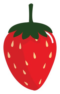 Kırmızı çilek, illüstrasyon, beyaz arkaplanda vektör.