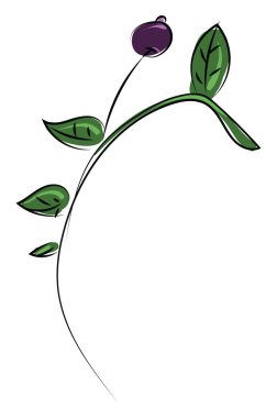 Yabani bitki, illüstrasyon, beyaz arka plan vektör.