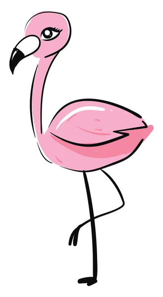 Pembe flamingo, illüstrasyon, beyaz arkaplanda vektör. — Stok Vektör