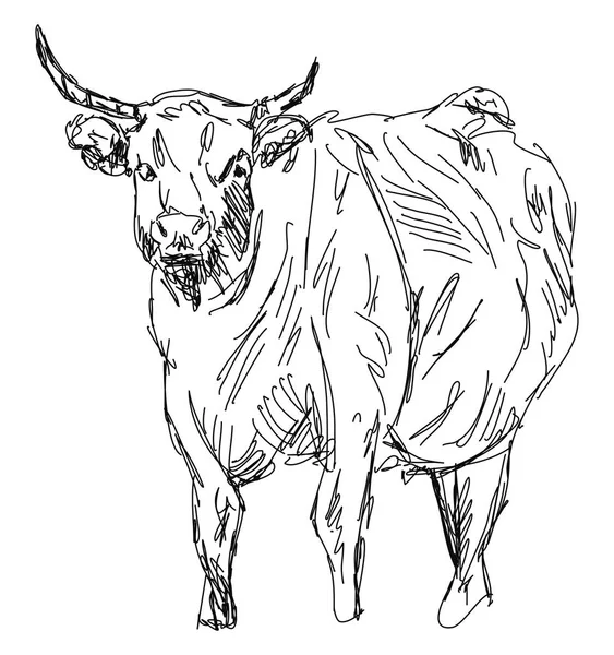 Dibujo de búfalo, ilustración, vector sobre fondo blanco . — Archivo Imágenes Vectoriales