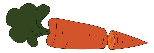 Zanahoria cortada por la mitad, ilustración, vector sobre fondo blanco . — Vector de stock
