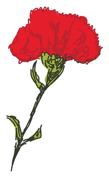 Flores rojas, ilustración, vector sobre fondo blanco . — Vector de stock