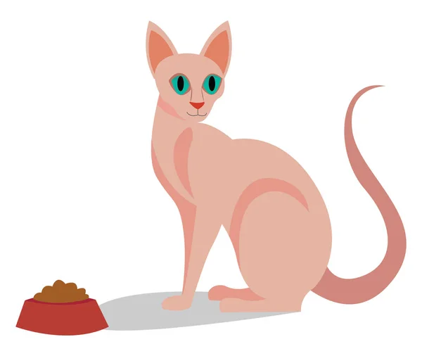 Esfinge gato, ilustración, vector sobre fondo blanco . — Vector de stock