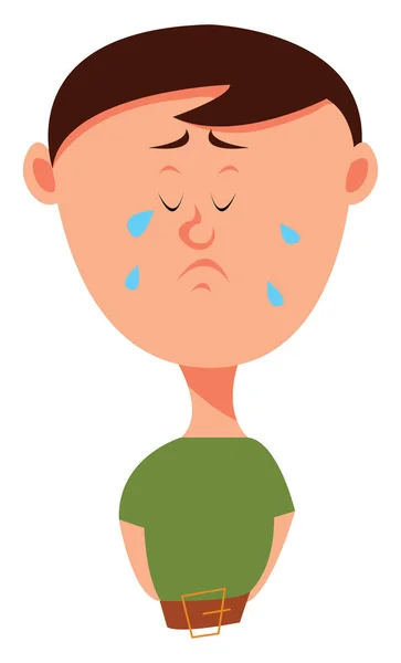 Boy is crying, illustration, vector on white background. — Stock Vector