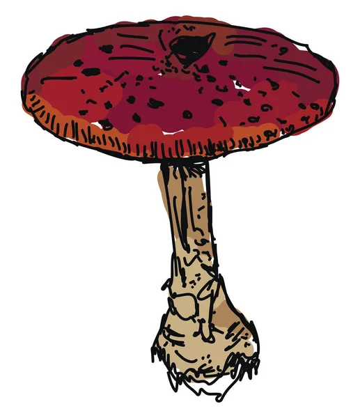 Pilz im Wald, Illustration, Vektor auf weißem Hintergrund. — Stockvektor