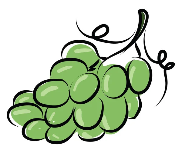 Green grapes, illustration, vector on white background. — Stock Vector