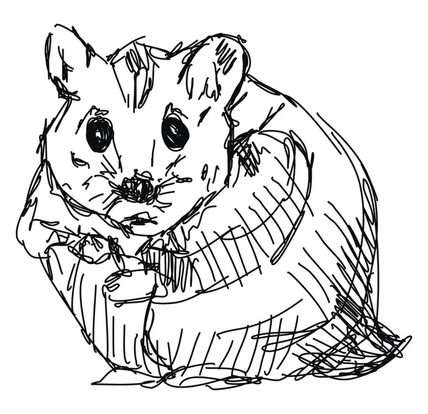 Desenho de hamster, ilustração, vetor sobre fundo branco . — Vetor de Stock