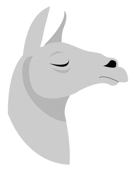 Lama, ilustrace, vektor na bílém pozadí. — Stockový vektor