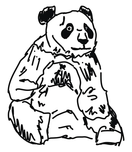 Panda rajz, illusztráció, vektor fehér háttérben. — Stock Vector