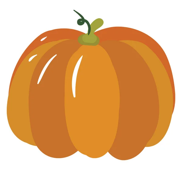 Calabaza naranja, ilustración, vector sobre fondo blanco. — Vector de stock