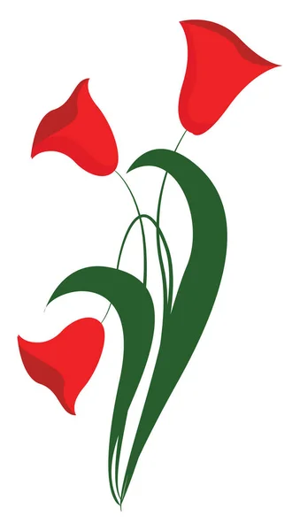 Κόκκινα άνθη, εικονογράφηση, διάνυσμα σε λευκό φόντο. — Διανυσματικό Αρχείο
