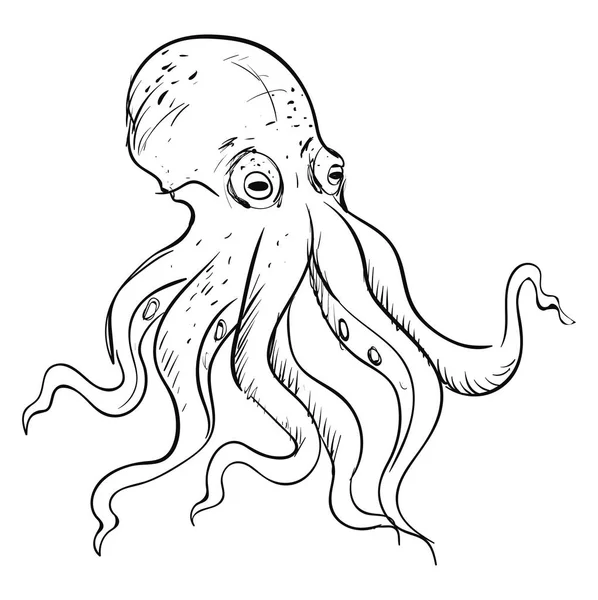 Octopus rajz, illusztráció, vektor fehér alapon. — Stock Vector