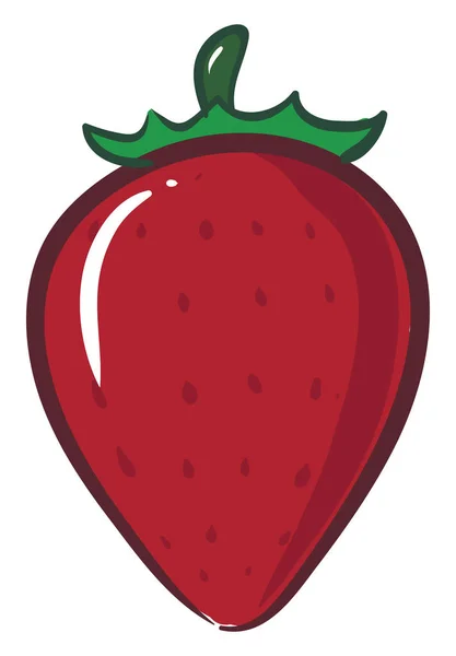 Strawberry, illustration, vektor på vit bakgrund. — Stock vektor