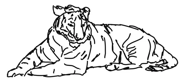 Kresba tygří, ilustrace, vektor na bílém pozadí. — Stockový vektor