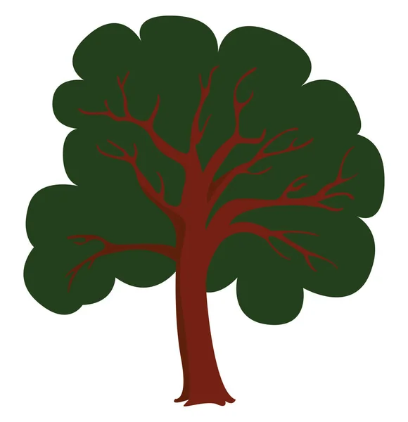 Árbol, ilustración, vector sobre fondo blanco . — Vector de stock