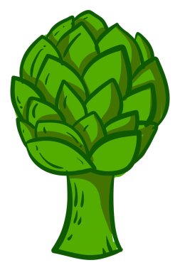 Taze enginar, illüstrasyon, beyaz arka plan vektör.