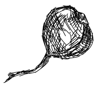 Pancar çizimi, illüstrasyon, beyaz arka plan üzerinde vektör.