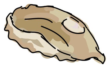 Flounder, illüstrasyon, beyaz arka plan üzerinde vektör.