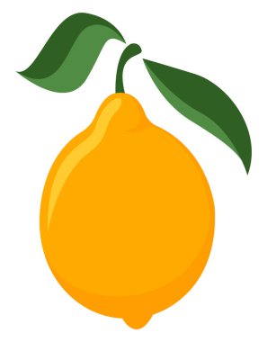 Lemon, illüstrasyon, beyaz arkaplanda vektör.