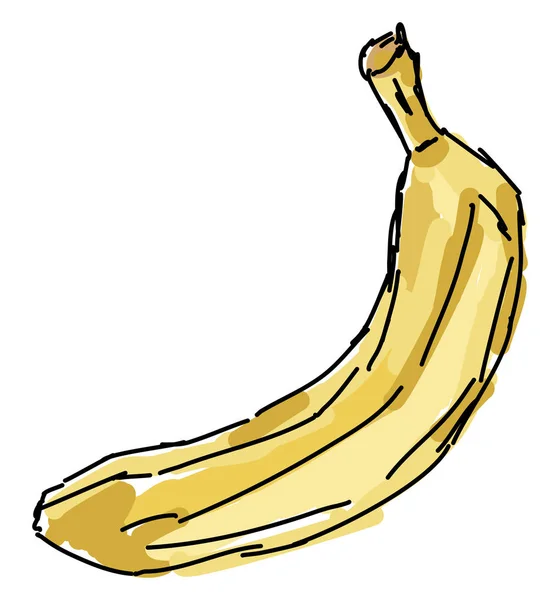 Banana desenho, ilustração, vetor sobre fundo branco . — Vetor de Stock