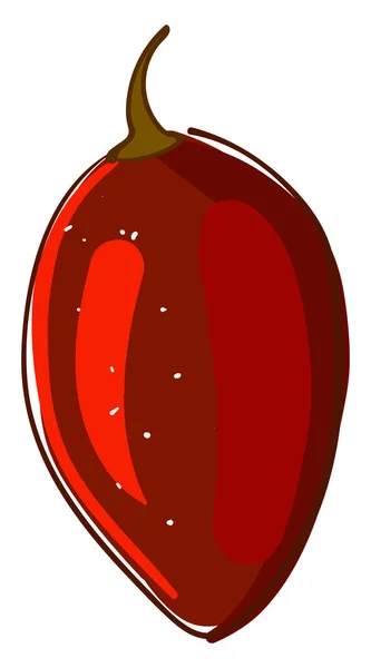 Tamarillo rouge, illustration, vecteur sur fond blanc . — Image vectorielle